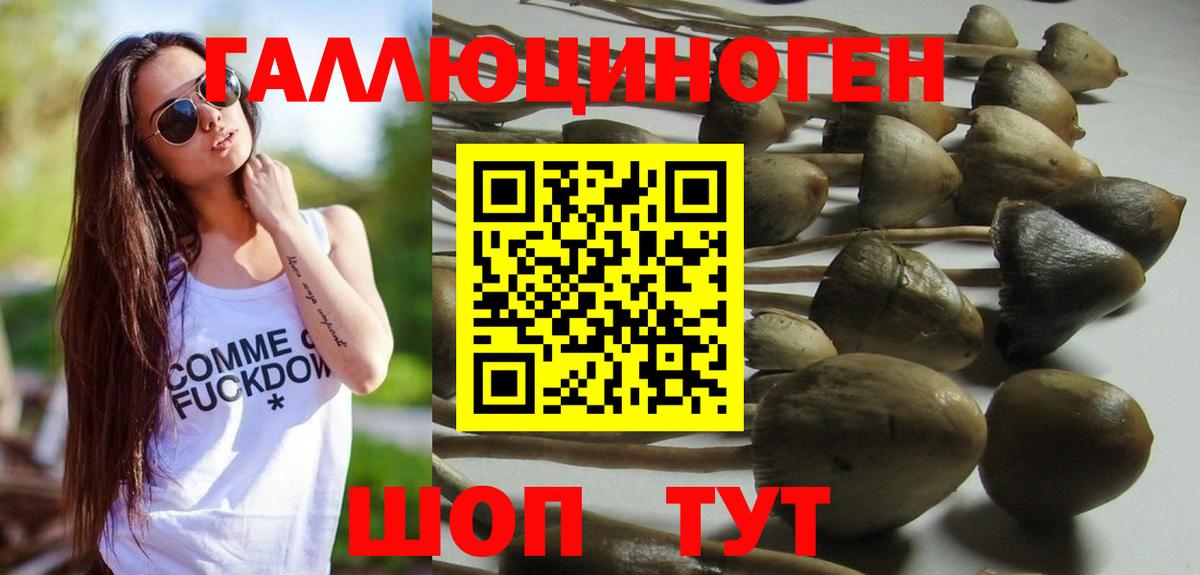 Россошь  Псилоцибиновые грибы прущие грибы  Галлюциногенные грибы MAGIC MUSHROOMS  Вход с VPN 